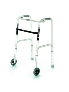 dvoukolové chodítko.jpg